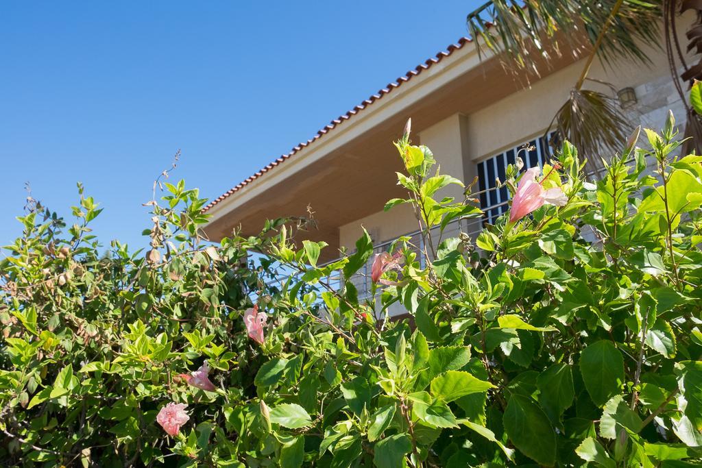 Sunset Beach House Kato Alepokhorion Esterno foto